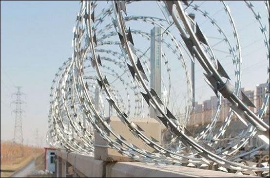 Hot Dip Galvanized Concertina Razor Wire Coils