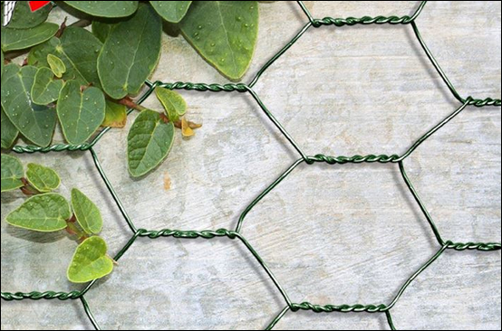 Heavy zinc coated galvanized hexagonal poultry netting