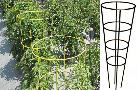 Adjustable iron garden trellis