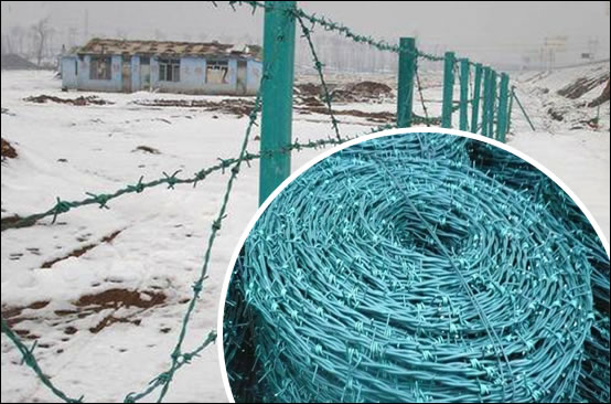 Barbed wire border fencing