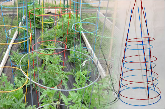 Metal Cone Galvanized Tomato Cage Plant Support