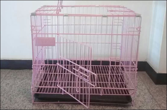 Rabbit Cages